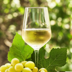 White Wine